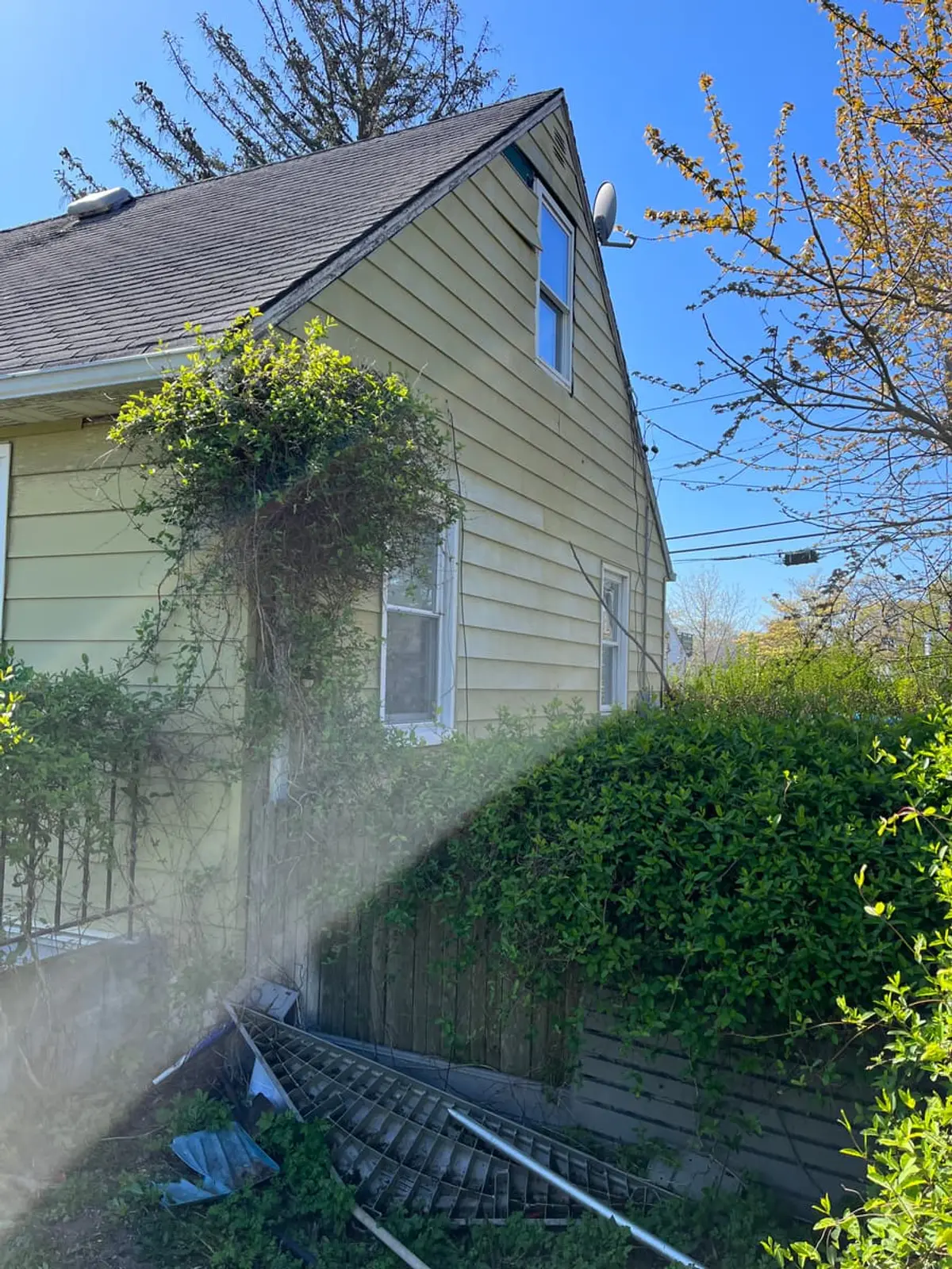 Selling a house in pre-foreclosure in Lindenhurst: side of a yellow Cape with vines growing up the wall